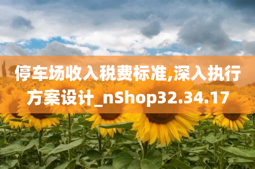 停车场收入税费标准,深入执行方案设计_nShop32.34.17