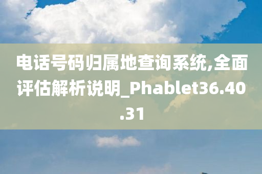 电话号码归属地查询系统,全面评估解析说明_Phablet36.40.31