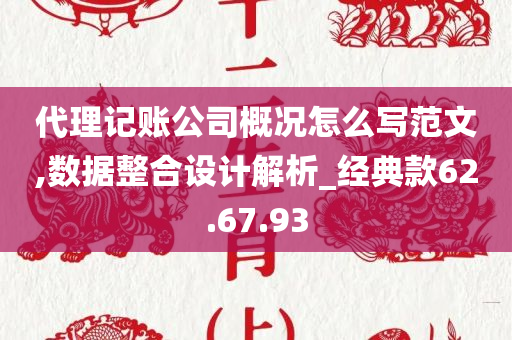 代理记账公司概况怎么写范文,数据整合设计解析_经典款62.67.93