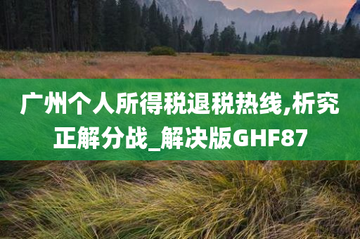 广州个人所得税退税热线,析究正解分战_解决版GHF87