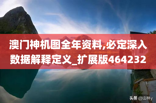 澳门神机图全年资料,必定深入数据解释定义_扩展版464232