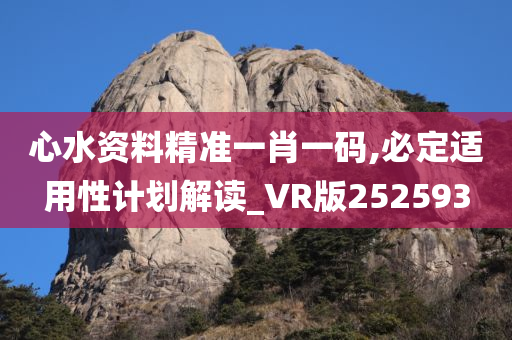 心水资料精准一肖一码,必定适用性计划解读_VR版252593