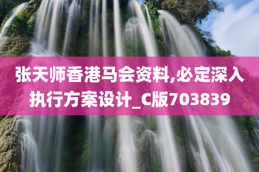 张天师香港马会资料,必定深入执行方案设计_C版703839