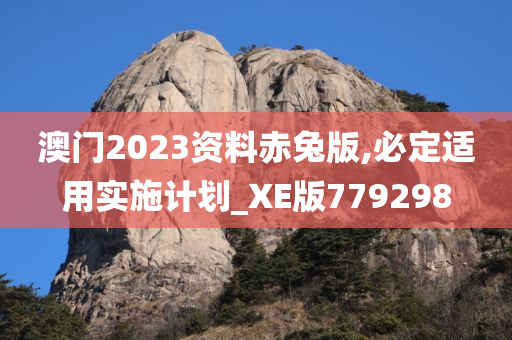 澳门2023资料赤兔版,必定适用实施计划_XE版779298