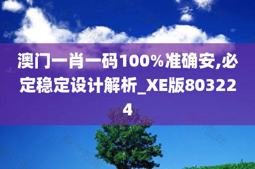 澳门一肖一码100%准确安,必定稳定设计解析_XE版803224