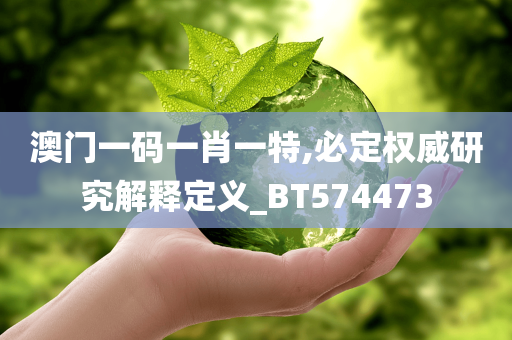 澳门一码一肖一特,必定权威研究解释定义_BT574473