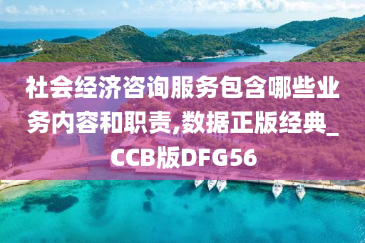 社会经济咨询服务包含哪些业务内容和职责,数据正版经典_CCB版DFG56