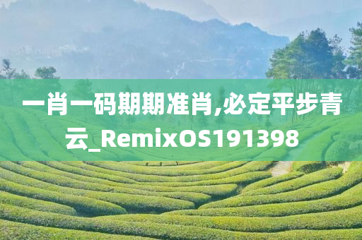 一肖一码期期准肖,必定平步青云_RemixOS191398