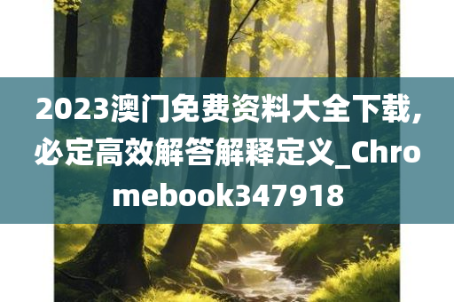 2023澳门免费资料大全下载,必定高效解答解释定义_Chromebook347918