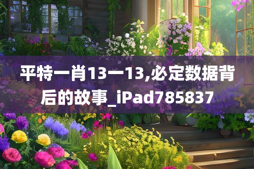 平特一肖13一13,必定数据背后的故事_iPad785837