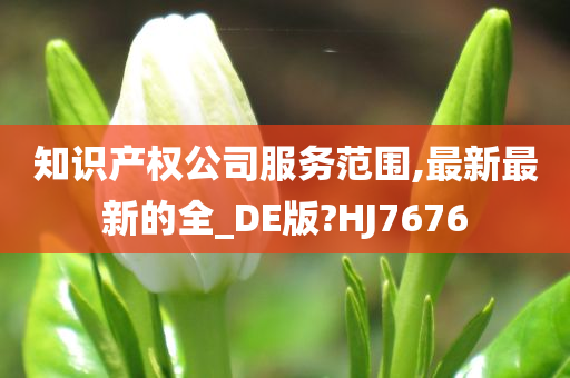 知识产权公司服务范围,最新最新的全_DE版?HJ7676