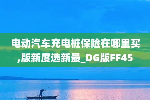 电动汽车充电桩保险在哪里买,版新度选新最_DG版FF45