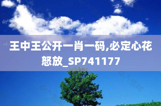 王中王公开一肖一码,必定心花怒放_SP741177