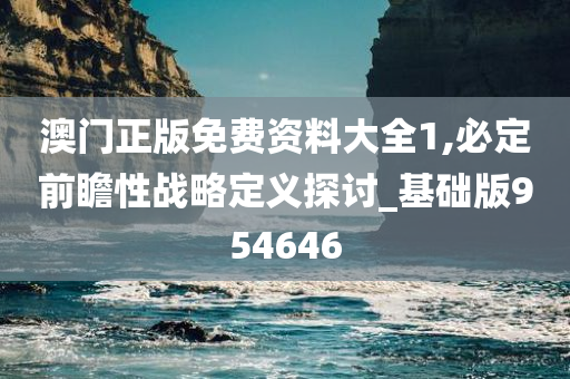 澳门正版免费资料大全1,必定前瞻性战略定义探讨_基础版954646