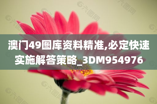 澳门49图库资料精准,必定快速实施解答策略_3DM954976