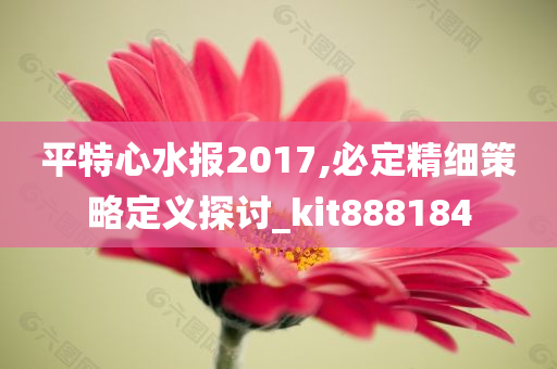 平特心水报2017,必定精细策略定义探讨_kit888184