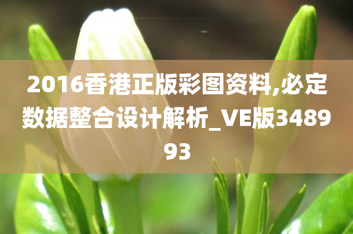 2016香港正版彩图资料,必定数据整合设计解析_VE版348993