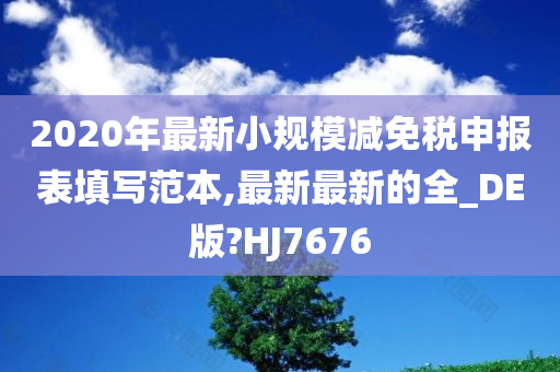 2020年最新小规模减免税申报表填写范本,最新最新的全_DE版?HJ7676