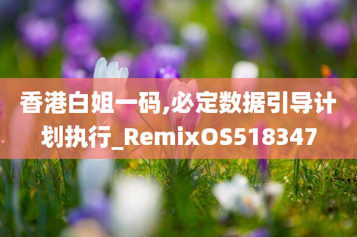 香港白姐一码,必定数据引导计划执行_RemixOS518347