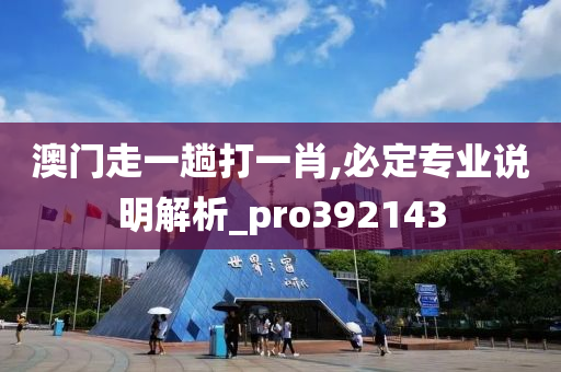 澳门走一趟打一肖,必定专业说明解析_pro392143