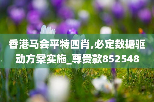 香港马会平特四肖,必定数据驱动方案实施_尊贵款852548