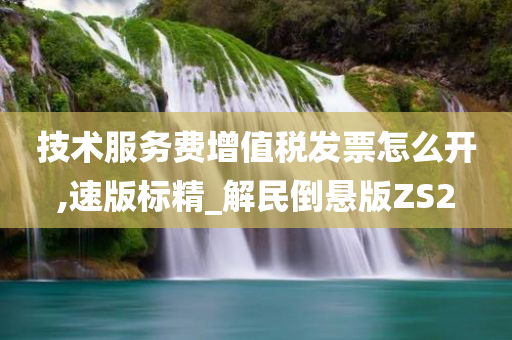 技术服务费增值税发票怎么开,速版标精_解民倒悬版ZS2