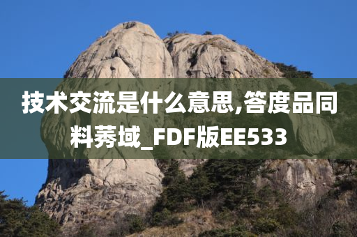 技术交流是什么意思,答度品同料莠域_FDF版EE533