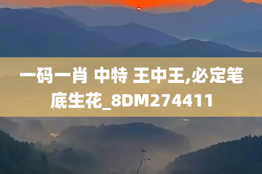 一码一肖 中特 王中王,必定笔底生花_8DM274411