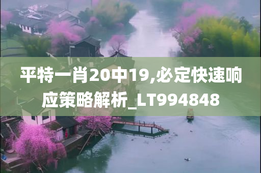 平特一肖20中19,必定快速响应策略解析_LT994848