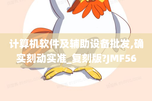 计算机软件及辅助设备批发,确实刻动实准_复刻版?JMF56