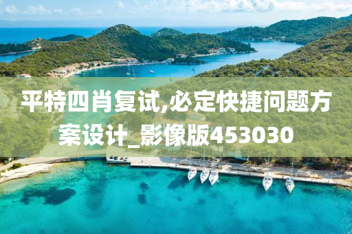 平特四肖复试,必定快捷问题方案设计_影像版453030