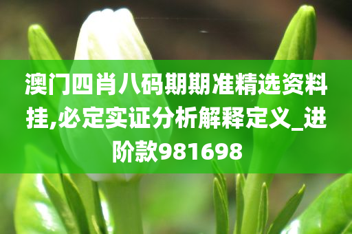 澳门四肖八码期期准精选资料挂,必定实证分析解释定义_进阶款981698