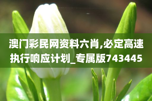 澳门彩民网资料六肖,必定高速执行响应计划_专属版743445