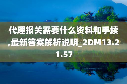 代理报关需要什么资料和手续,最新答案解析说明_2DM13.21.57