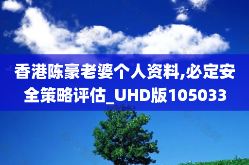 香港陈豪老婆个人资料,必定安全策略评估_UHD版105033