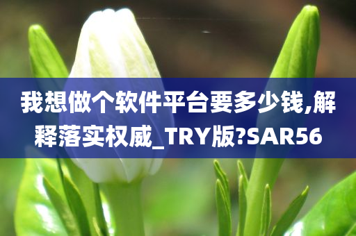 我想做个软件平台要多少钱,解释落实权威_TRY版?SAR56