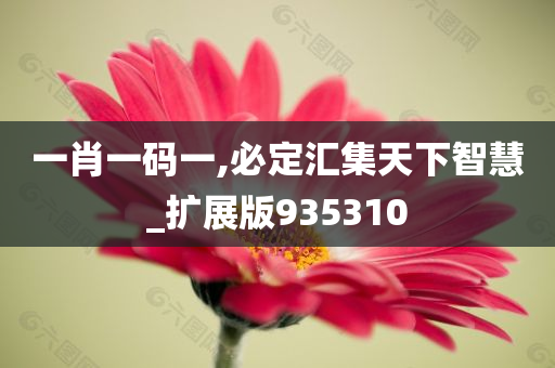 一肖一码一,必定汇集天下智慧_扩展版935310