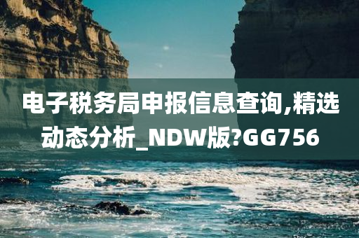 电子税务局申报信息查询,精选动态分析_NDW版?GG756