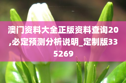 澳门资料大全正版资料查询20,必定预测分析说明_定制版335269