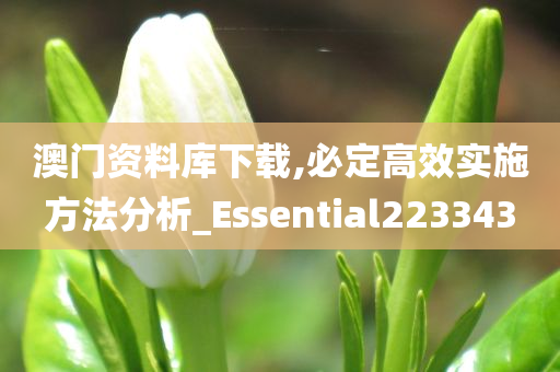 澳门资料库下载,必定高效实施方法分析_Essential223343