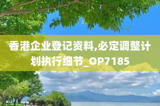 香港企业登记资料,必定调整计划执行细节_OP7185