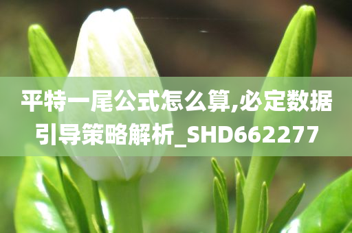 平特一尾公式怎么算,必定数据引导策略解析_SHD662277