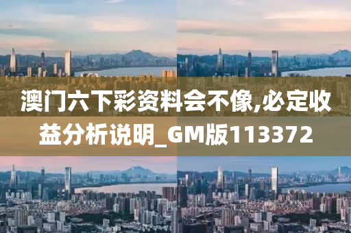 澳门六下彩资料会不像,必定收益分析说明_GM版113372