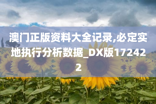 澳门正版资料大全记录,必定实地执行分析数据_DX版172422