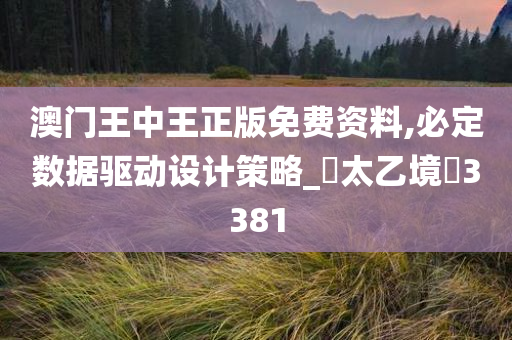 澳门王中王正版免费资料,必定数据驱动设计策略_‌太乙境‌3381