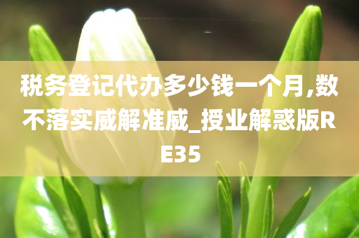 税务登记代办多少钱一个月,数不落实威解准威_授业解惑版RE35