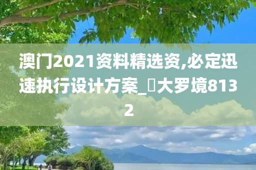 澳门2021资料精选资,必定迅速执行设计方案_‌大罗境8132