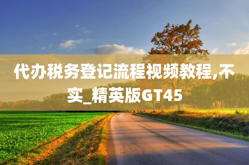 代办税务登记流程视频教程,不实_精英版GT45