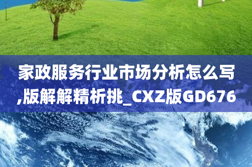 家政服务行业市场分析怎么写,版解解精析挑_CXZ版GD676