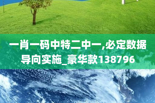 一肖一码中特二中一,必定数据导向实施_豪华款138796